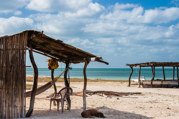 Fototapeta na wymiar Traditional hammock beside the beach at Cabo de la Vela