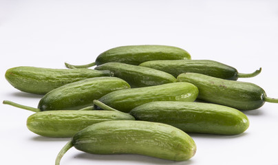 cucumber