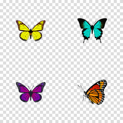 Fototapeta na wymiar Realistic Archippus, Purple Monarch, Copper And Other Vector Elements. Set Of Beauty Realistic Symbols Also Includes Brown, Yellow, Butterfly Objects.