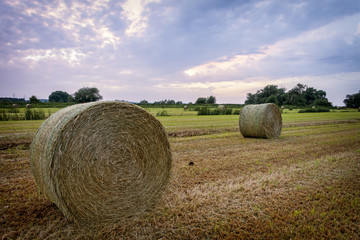 Straw bales on farmland with blue cloudy sky
