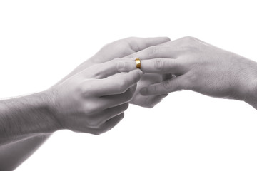 One groom putting a wedding ring on another man's finger isolated on white