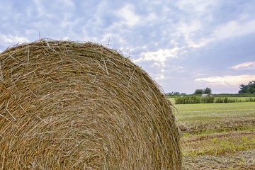 Close up of straw bale on farmland with blue cloudy sky
