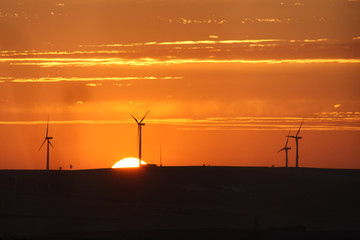 Obraz premium the sunset on the background of windmills