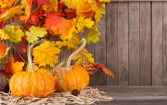 Two Pumpkins With Autumn Leaves in Background