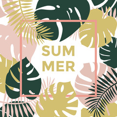 Tropical leaves. Greens leaves of exotic monstera plant. Summer, exotic green leaves.