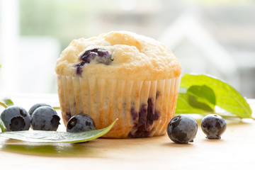 Blueberry muffin