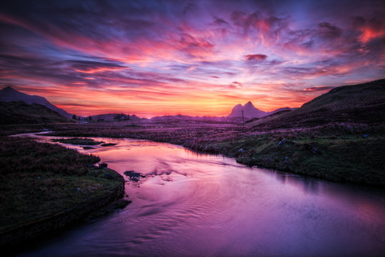 Purple landscape deals
