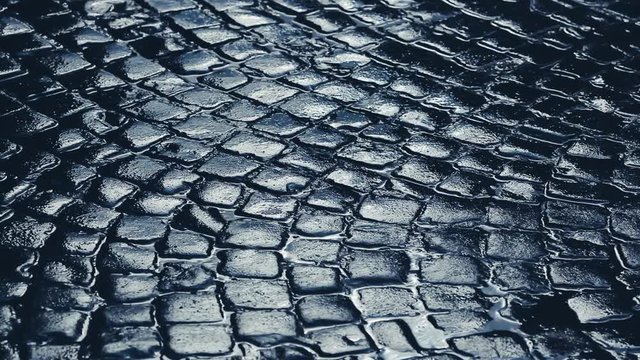 Stone paving stones after rain