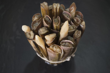 Bundle of razor clams