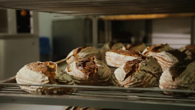 Close up shot of man puttung fresh golden bread on the reck in the modern bakery background.