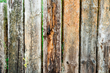 Old wooden planks texture background