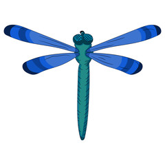 Bright blue dragonfly. Child s drawing. vector illustration. Hand-drawn.