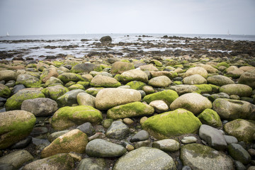 An ocean landscape with sea rocks 