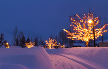 winter lights