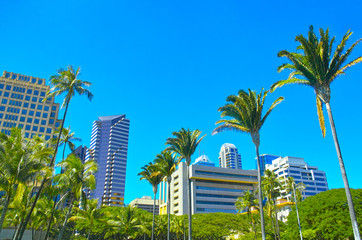 Fototapeta na wymiar ハワイ　ホノルル市内の風景