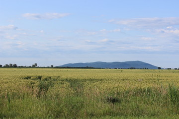 The plain and the mountain