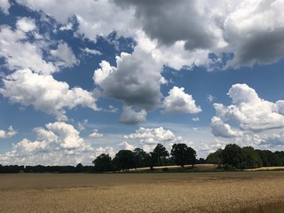 Big Cloudscape Field of dreams 