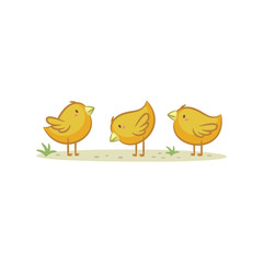 Chicks