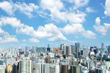 Fototapeta premium 東京都市風景