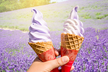 Lavender and vanilla icecream with the field in Japan
