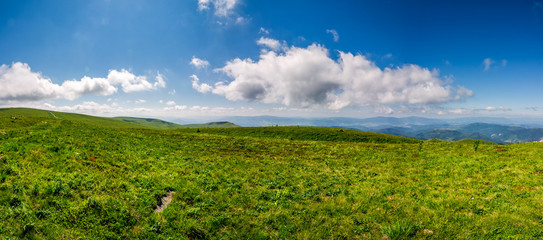 Fototapeta premium hillside panorama in mountains in summer