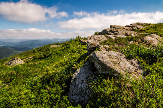 meadow with boulders in Carpathian mountains in summer