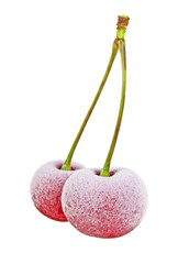 Two frozen cherries on a white background