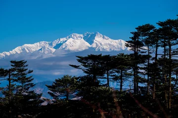 Photo sur Plexiglas Kangchenjunga Kangchenjunga mount landscape during blue sky day time behind pine tree