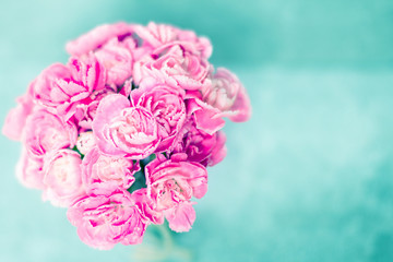 the Fresh pink carnation flower on stone plate background