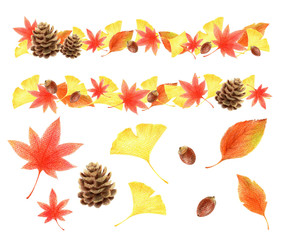 秋の落ち葉と木の実のパーツセット