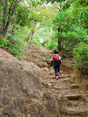 Fototapeta premium ハイキング