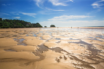 Sand dunes by the sea