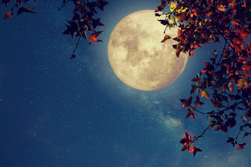 Mooie herfstfantasie - esdoorn in herfstseizoen en volle maan met melkwegster op de achtergrond van de nachthemel. Kunstwerk in retrostijl met vintage kleurtoon