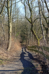 Waldweg mit Holzzaun auf rechter Seite