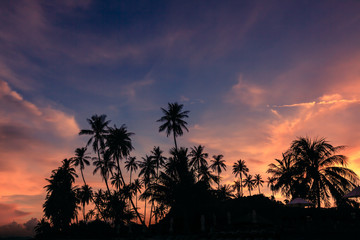 Fototapeta na wymiar Silhouette of coconut trees against dramatic sunset sky background.