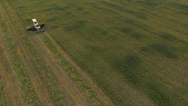 tractor cutting the grass in the field. farmland 4k. Aerial Top view