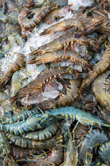 Crabs are sold in the Thai seafood market.