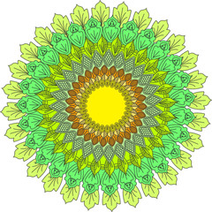 Flower Mandala. Vintage decorative elements. Oriental pattern, vector illustration. symmetry, kaleidoscopeic, chakran, moroccan,spain, retro, henna, Coloring book page