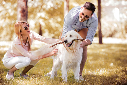 Couple Playing With Their Dog In The Park.