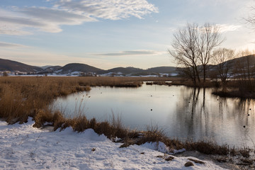 A lake shore in winter with snow,  trees reflecting on water and a beautiful sky with white clouds and warm sunset colors
