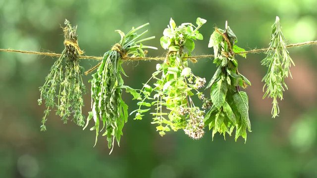 Different herbs - spices dried on a rope. Back background - blurred green. 4K video.