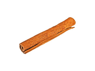 Spices, single cinnamon stick isolated on a white background