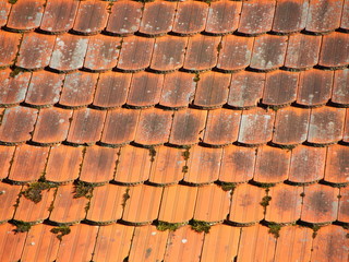 Red Tile Roof with Alga and Patina