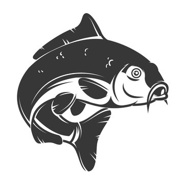Carp fish isolated on white background. Design element for logo, emblem, sign, brand mark.  Vector illustration
