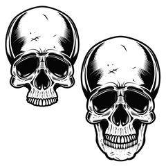 Collection Of Hand Drawn Skulls In Monochrome. Vector Skulls Illustrations
