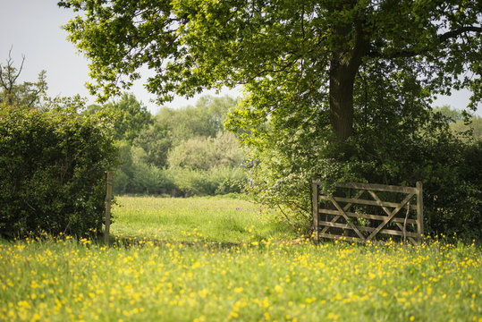Beautiful English countryside landscape image of meadow in Spring sunshine
