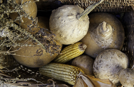 Corn and pumpkins in a traditional basket