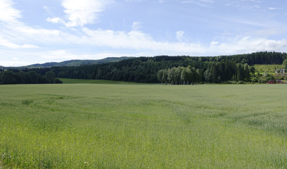 Farmland