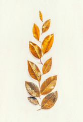 Autumn gold leaves composing, flat lay, ear shape,  top view