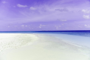 Fototapeta na wymiar Tropical area landscape of Sand Bank small island in Indian ocean, Maldives